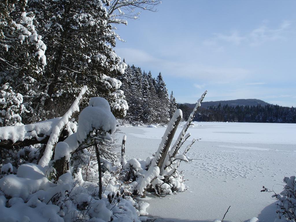 Manoir Du Lac Sept-Iles Saint-Raymond Dış mekan fotoğraf